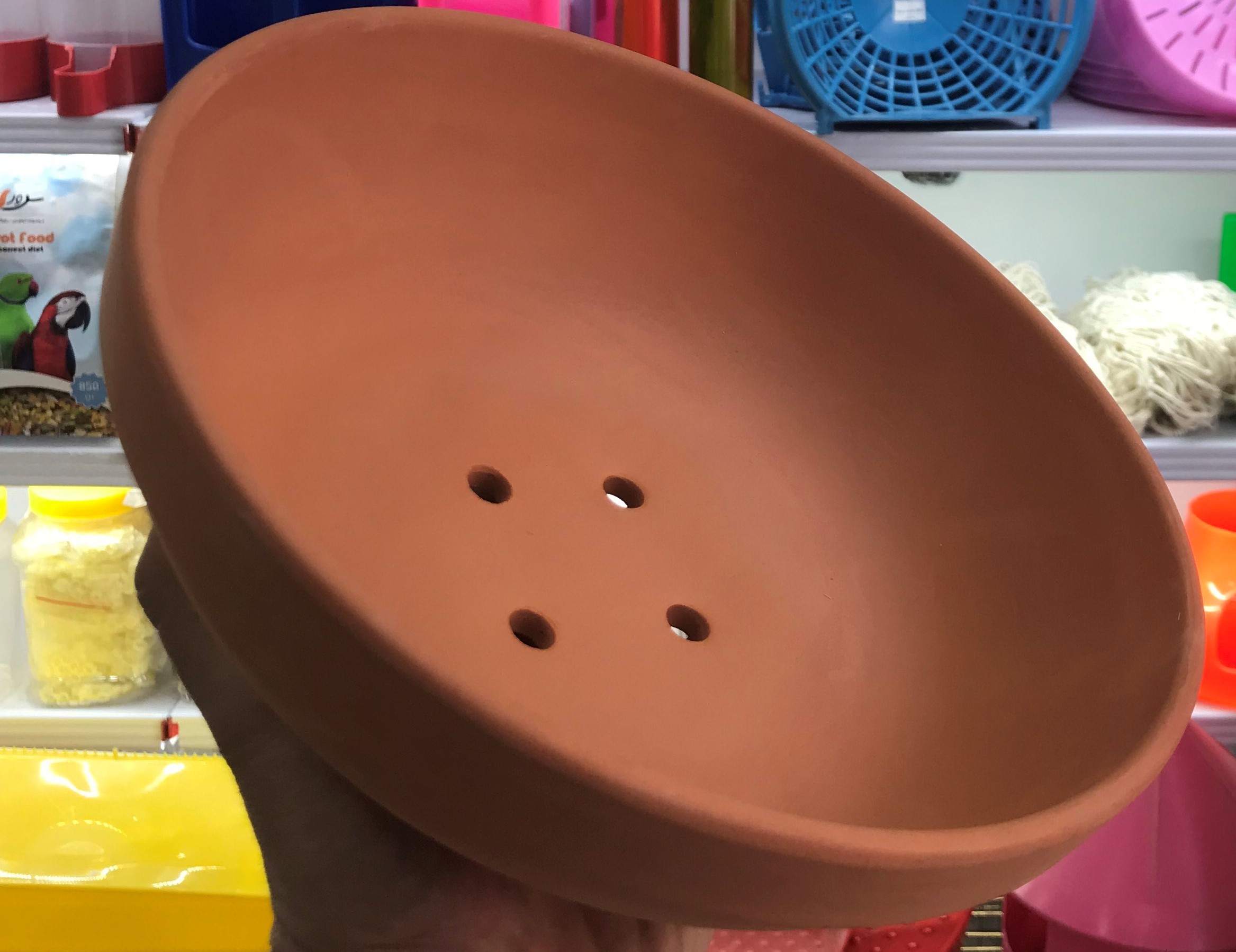 لانه کبوتر سفالی 